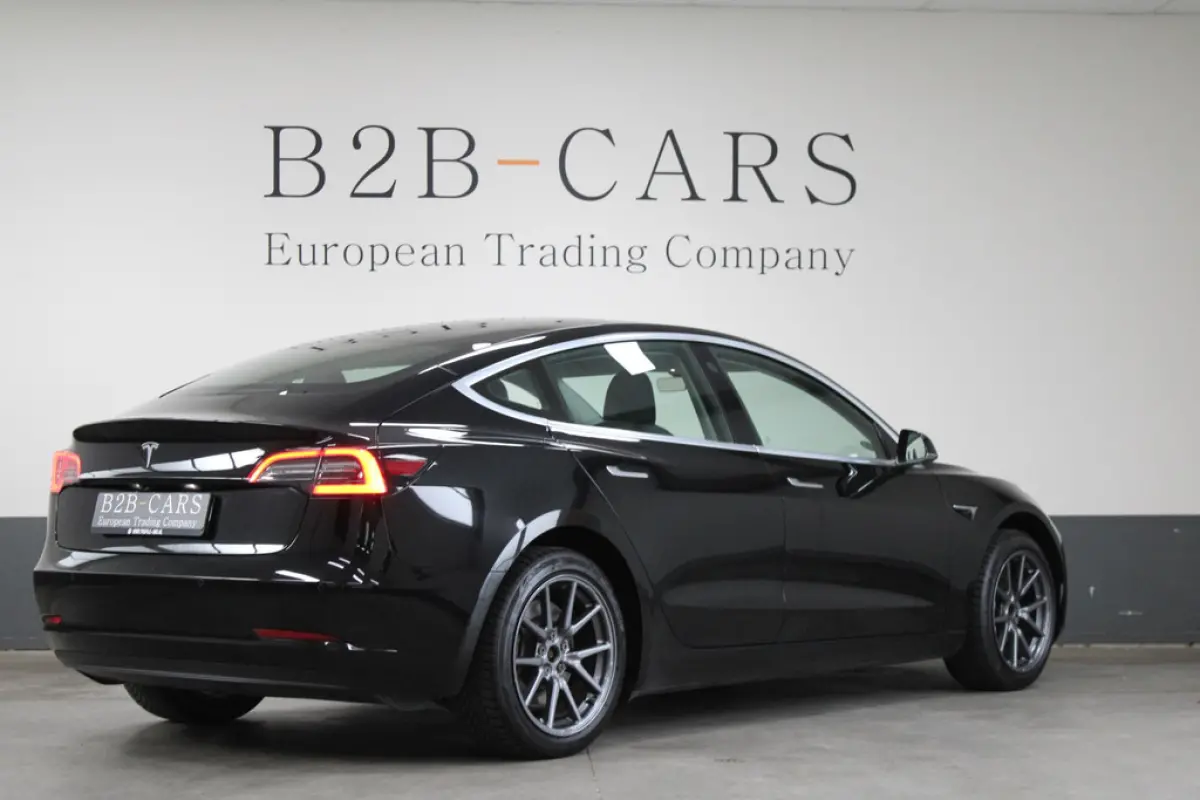 Tesla Model 3 Standard RWD Plus 60 kWh, foto 4 van 16