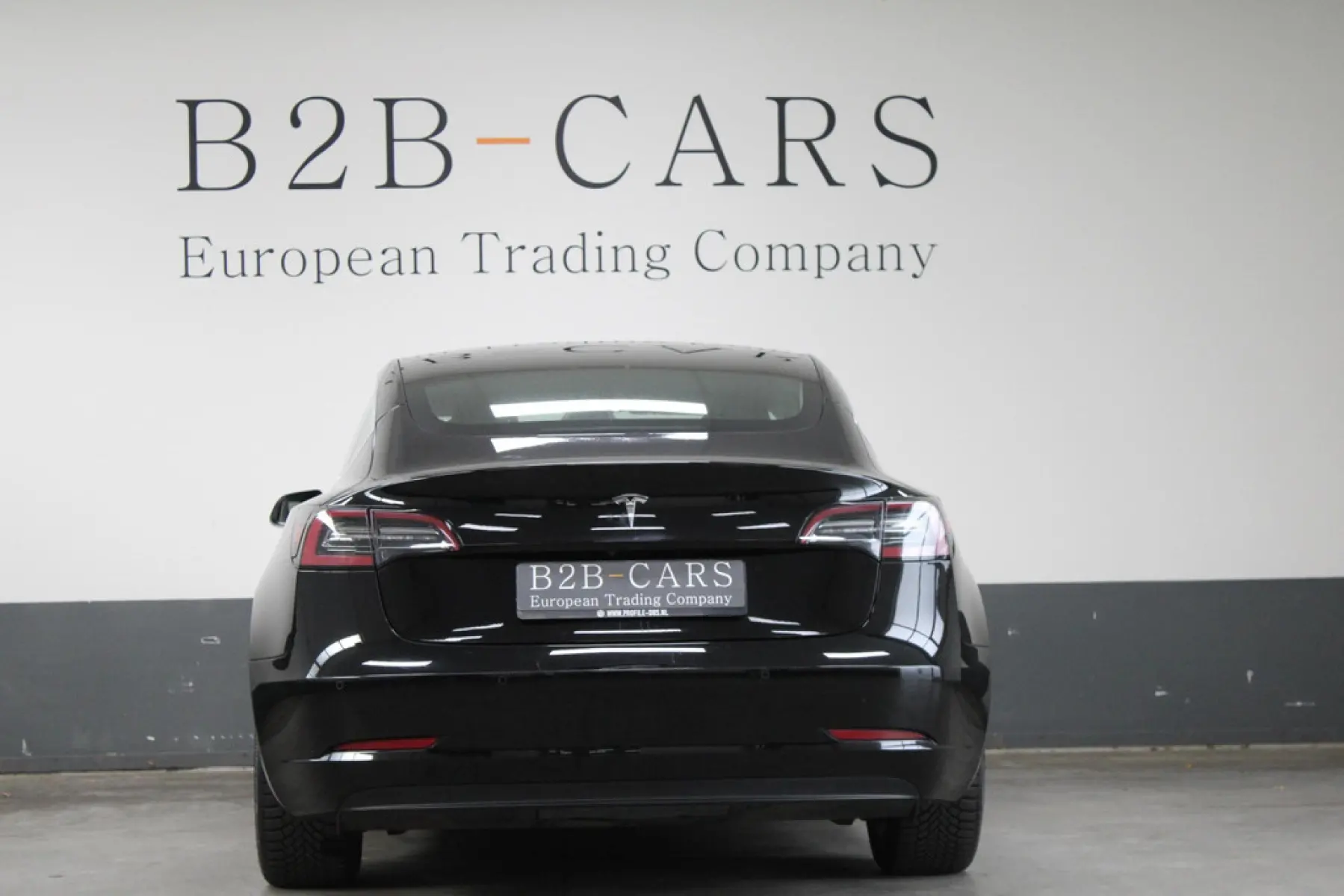 Tesla Model 3 Standard RWD Plus 60 kWh, foto 5