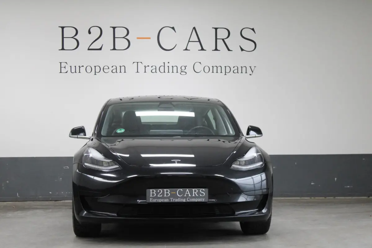 Tesla Model 3 Standard RWD Plus 60 kWh, foto 2 van 16