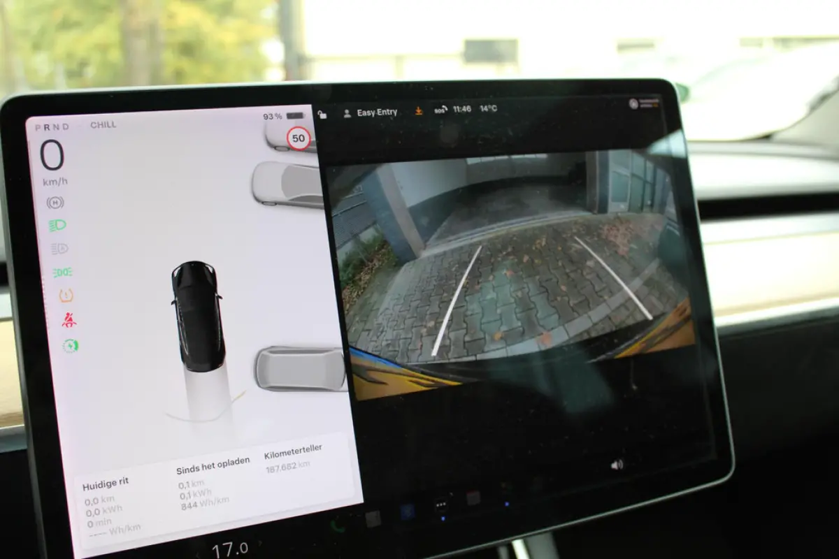 Tesla Model 3 Standard RWD Plus 60 kWh, foto 10 van 16