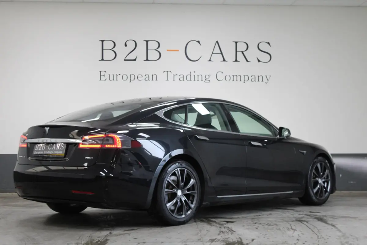 Tesla Model S 75D, foto 5 van 19