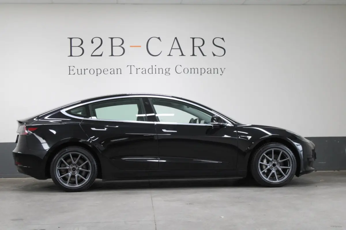 Tesla Model 3 Standard RWD Plus 60 kWh, foto 3 van 16