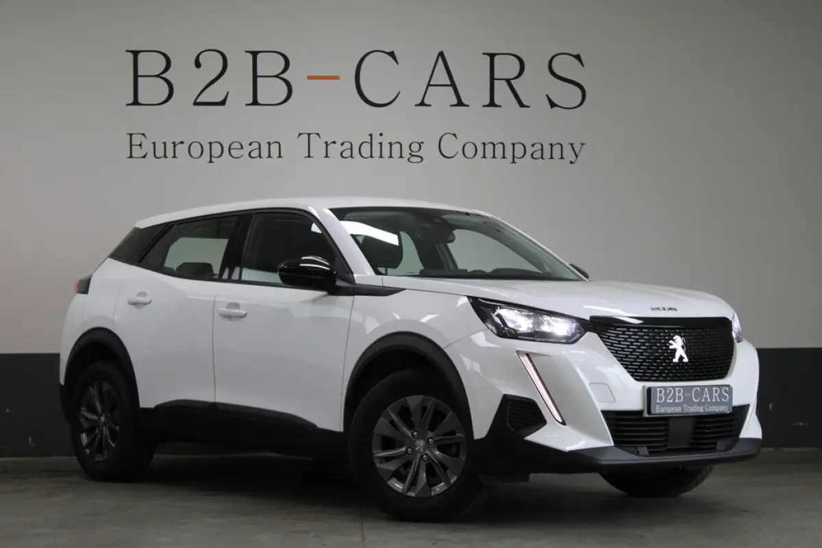 Peugeot 2008 1.5 BlueHDi Active Pack, foto 1 van 17