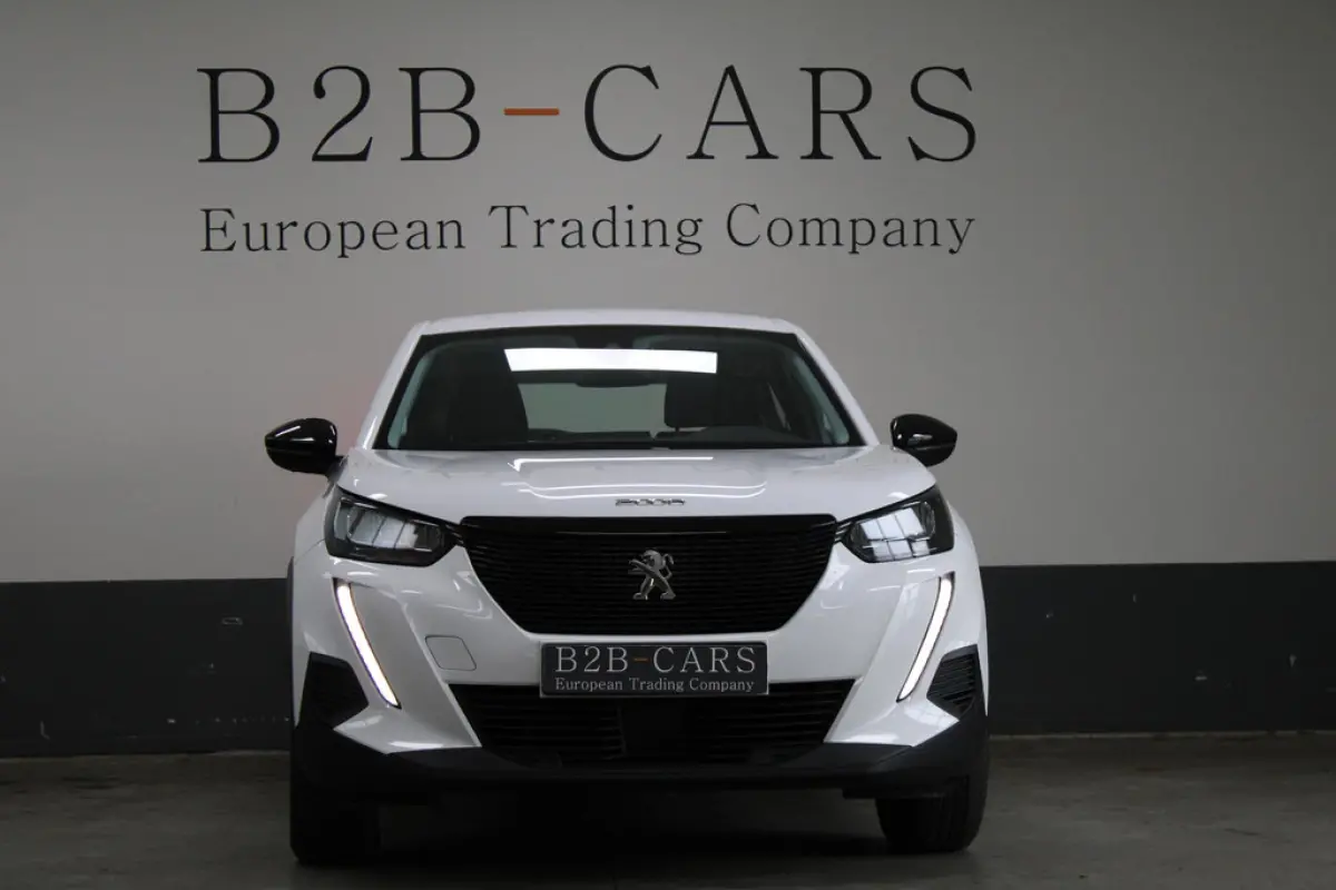 Peugeot 2008 1.5 BlueHDi Active Pack, foto 2 van 17