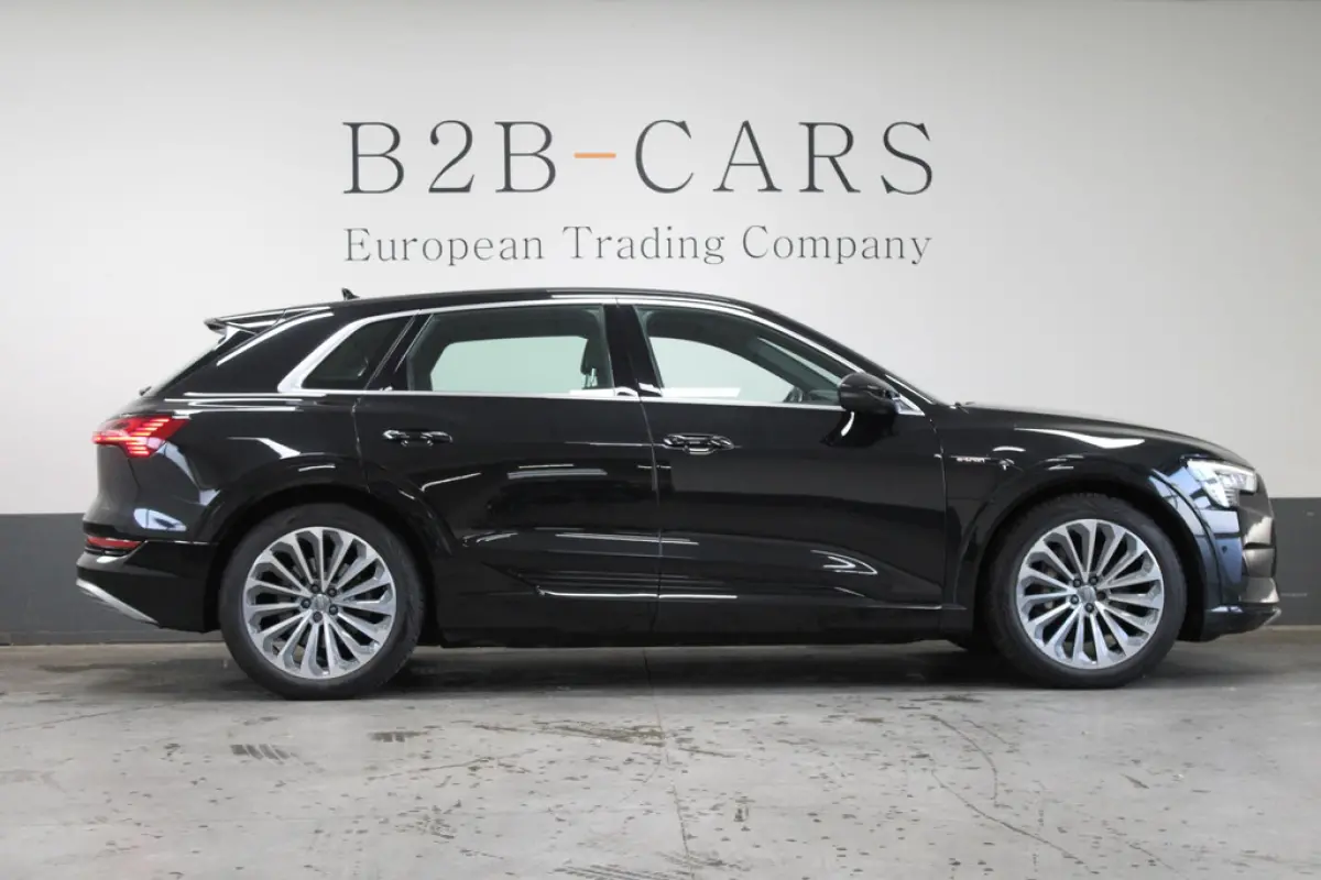 Audi e-tron e-tron 55 Quattro 95 kWh, foto 4 van 18