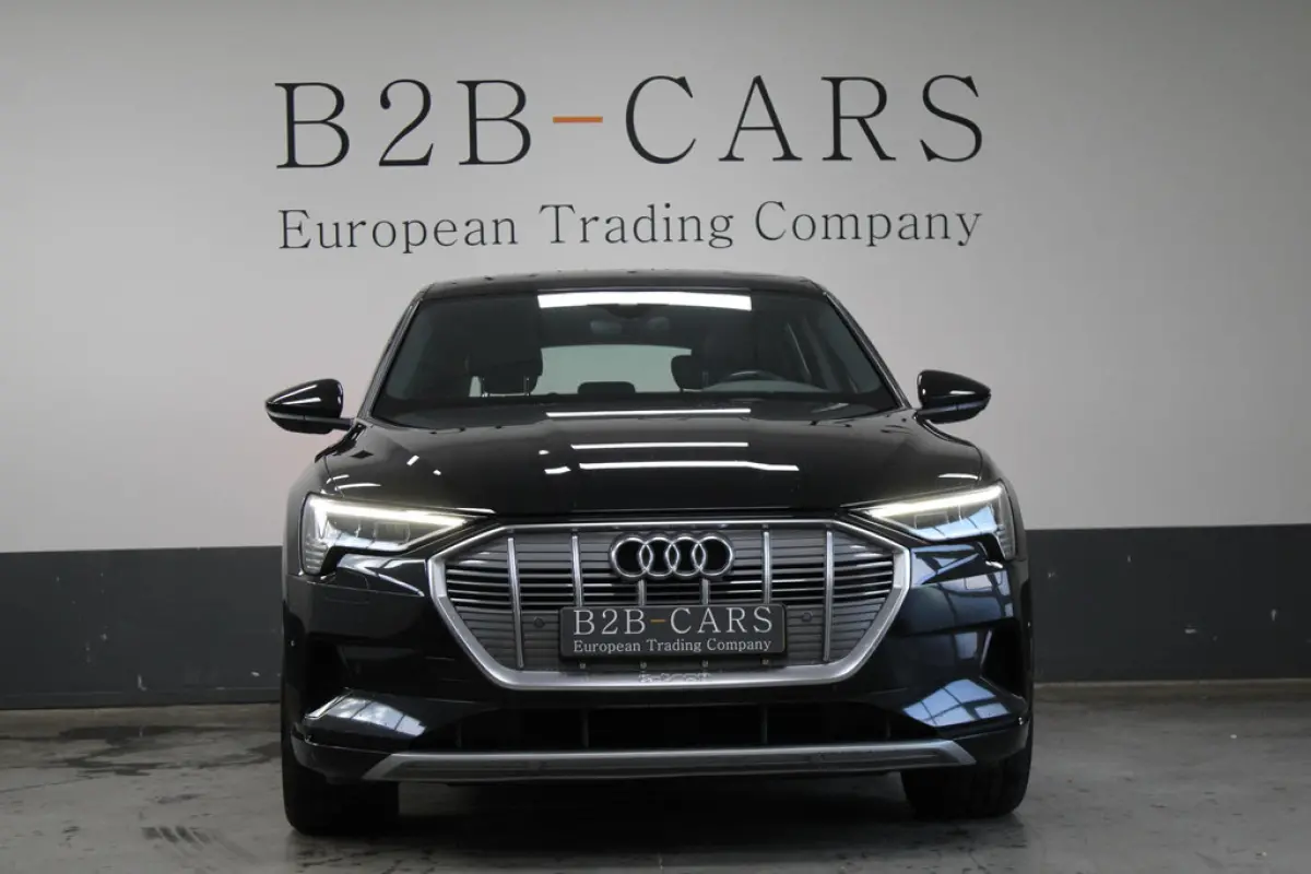 Audi e-tron e-tron 55 Quattro 95 kWh, foto 3 van 18