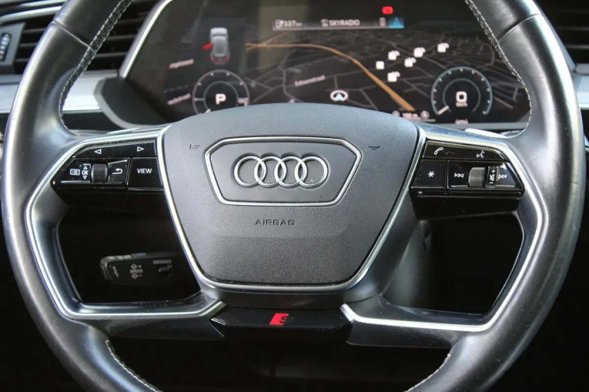 Audi e-tron e-tron 55 Quattro 95 kWh, foto 10 van 18