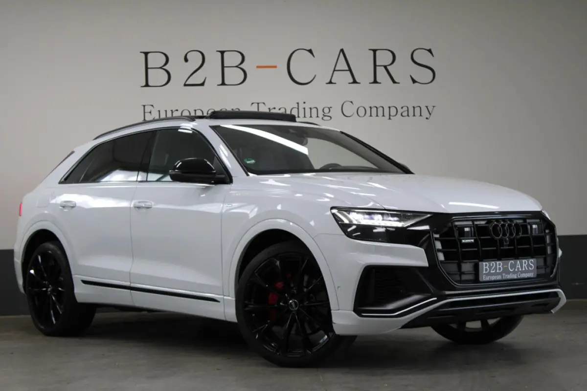 Audi Q8 55 TFSI Quattro, foto 1 van 30