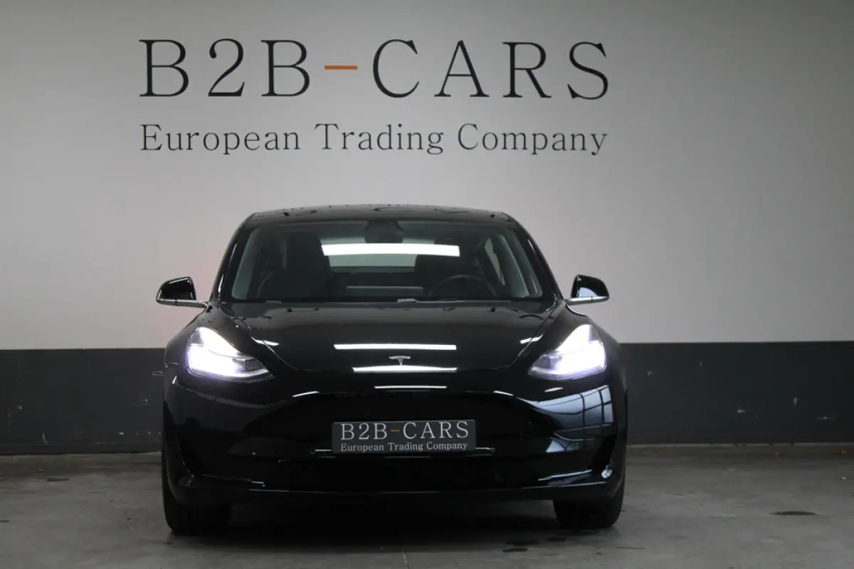 Tesla Model 3 Standard Plus 60 kWh, foto 3 van 20