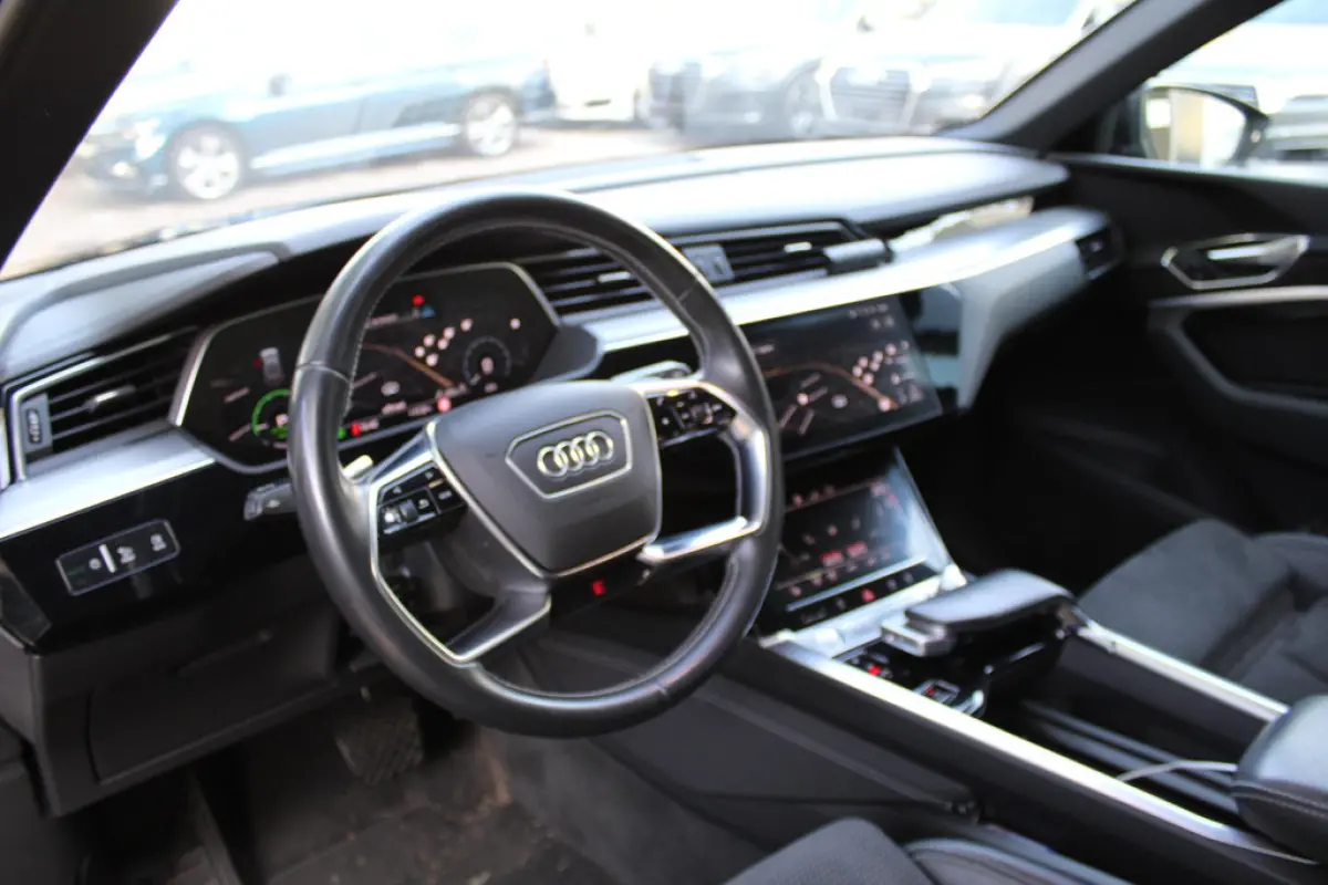 Audi e-tron e-tron 55 Quattro 95 kWh, foto 14 van 18