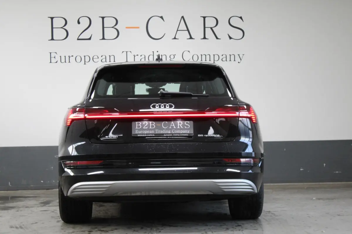 Audi e-tron e-tron 55 Quattro 95 kWh, foto 6 van 18