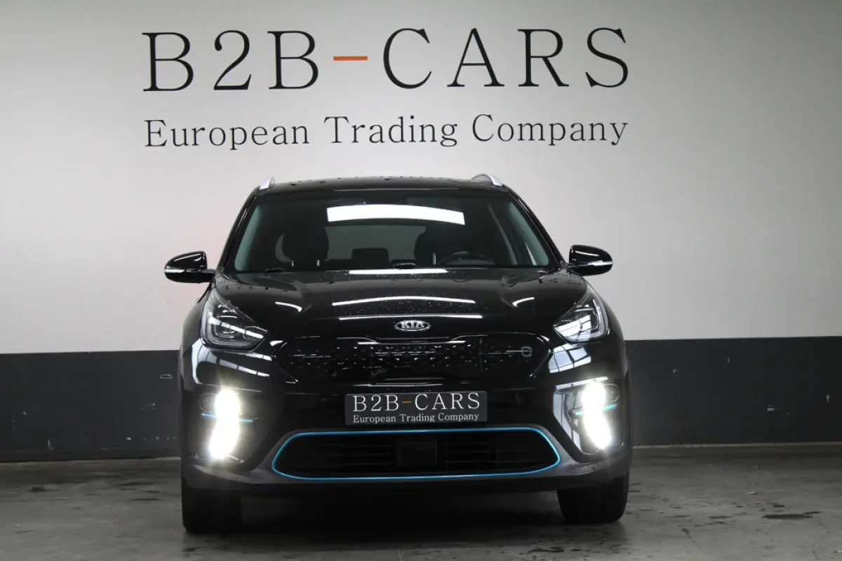 Kia e-Niro DynamicLine 64 kWh, foto 3 van 23