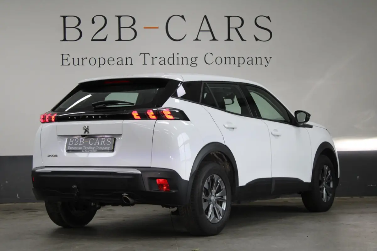 Peugeot 2008 1.5 BlueHDi Active Pack, foto 4 van 17