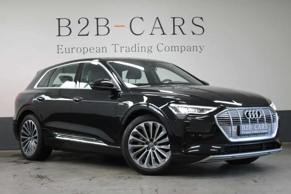 Audi e-tron e-tron 55 Quattro 95 kWh, foto 1 van 18