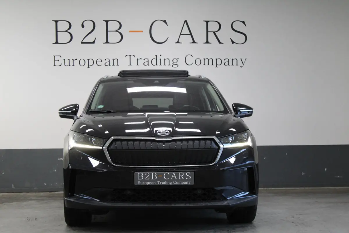 Škoda Enyaq iV 80, foto 3 van 23