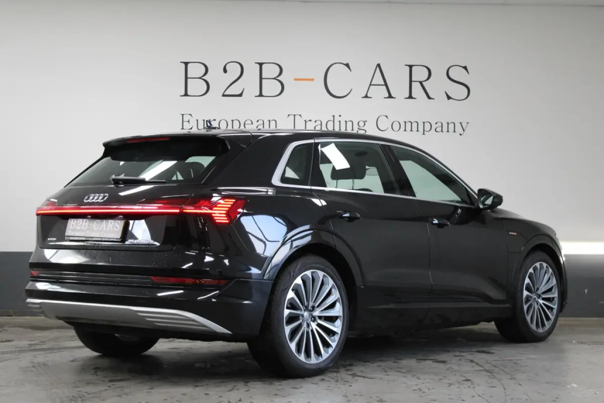 Audi e-tron e-tron 55 Quattro 95 kWh, foto 5 van 18