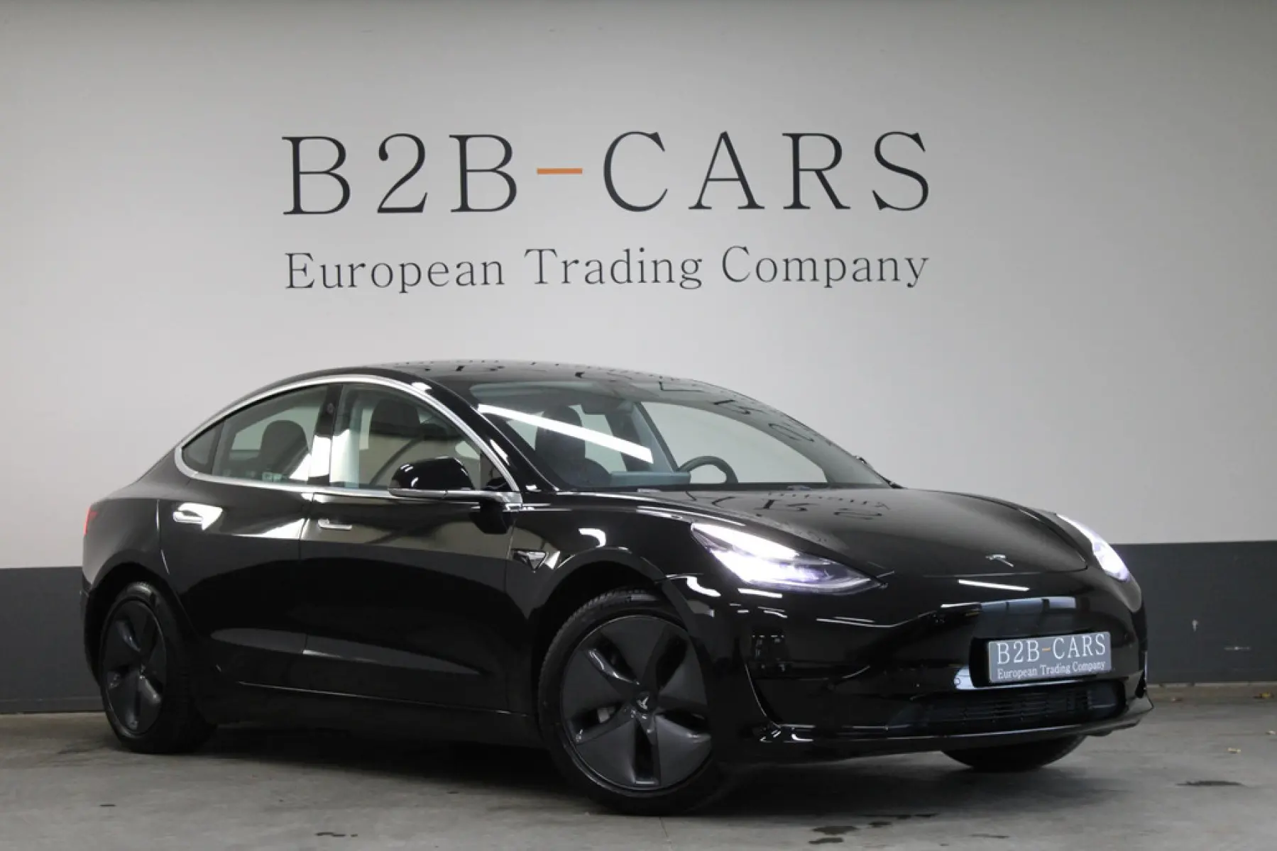 Tesla Model 3 Standard Plus 60 kWh, foto 1