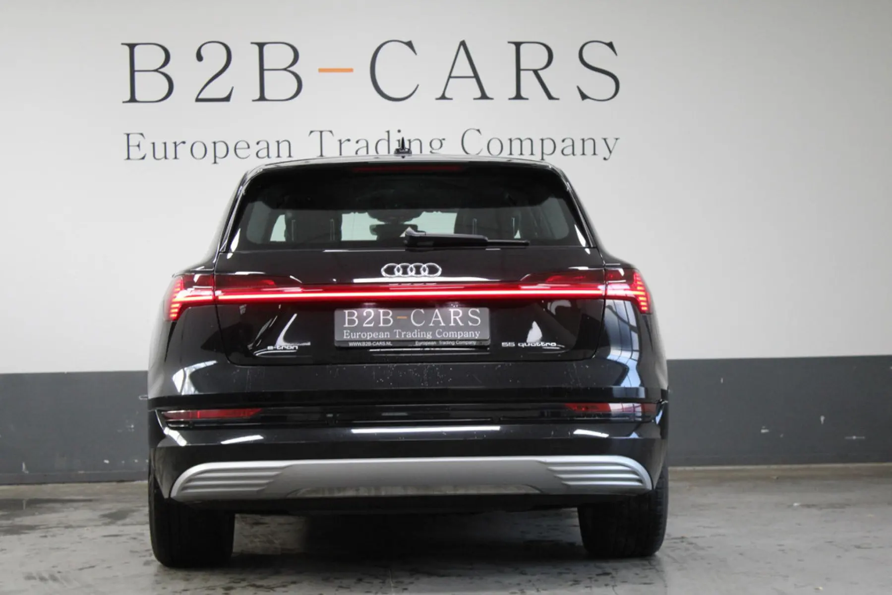 Audi e-tron e-tron 55 Quattro 95 kWh, foto 6
