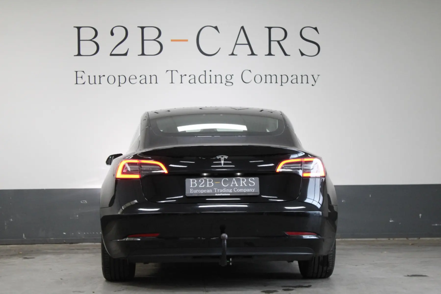Tesla Model 3 Standard Plus 60 kWh, foto 6