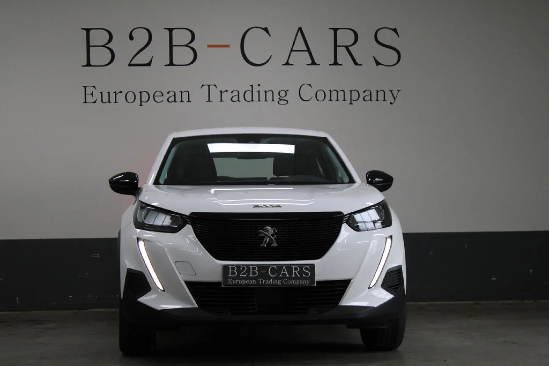 Peugeot 2008 1.5 BlueHDi Active Pack, foto 2
