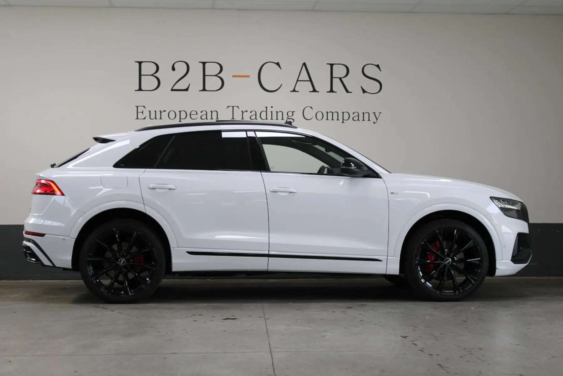 Audi Q8 55 TFSI Quattro, foto 8