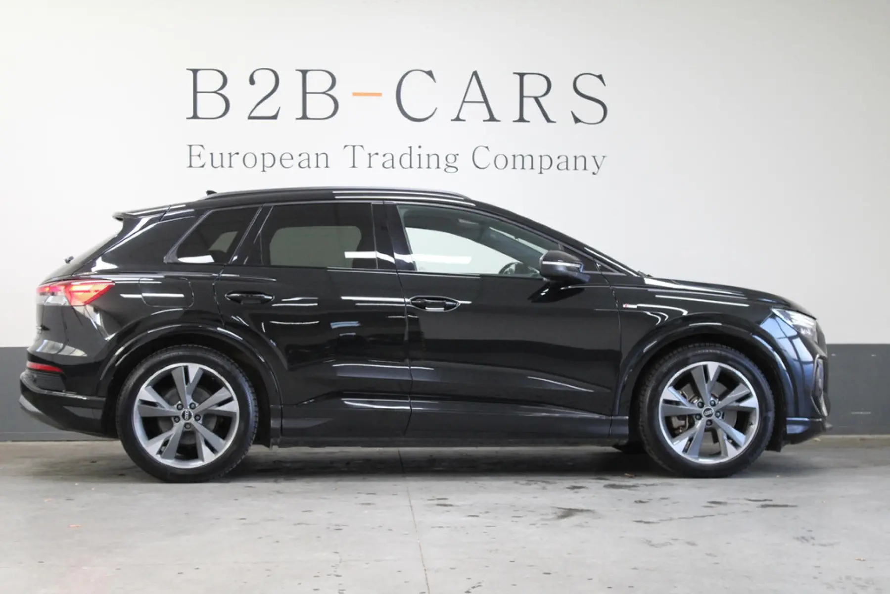 Audi Q4 e-tron 50 quattro S Competition 77 kWh, foto 4