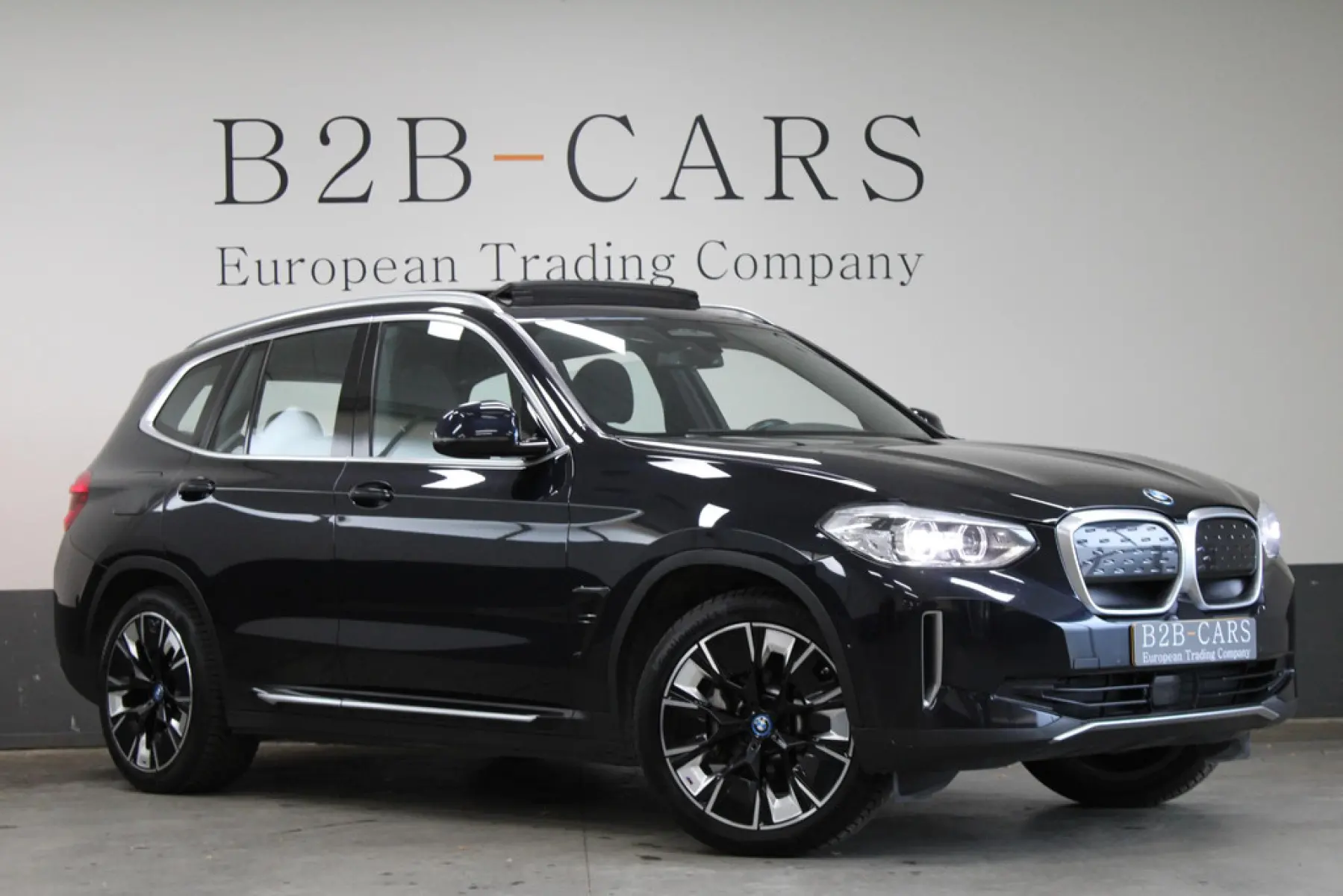 BMW iX3 Executive 80 kWh, foto 1